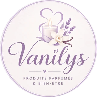 Logo Vanilys